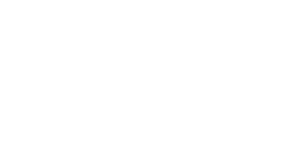 ইভোলিউশন গেমিং logo